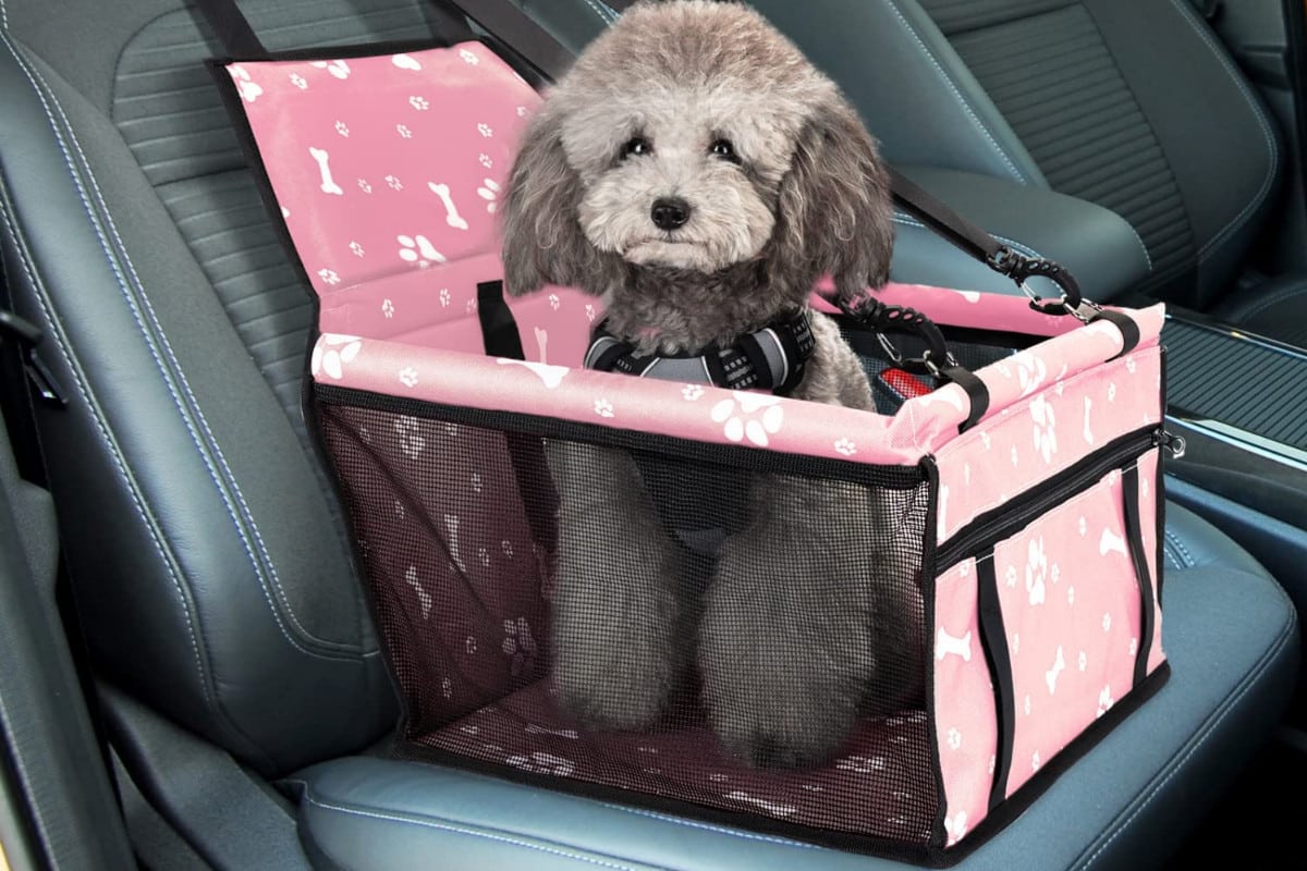 Gütewerk Siège auto pour chien de taille moyenne et petite, accessoires pour  chiens, siège auto solide